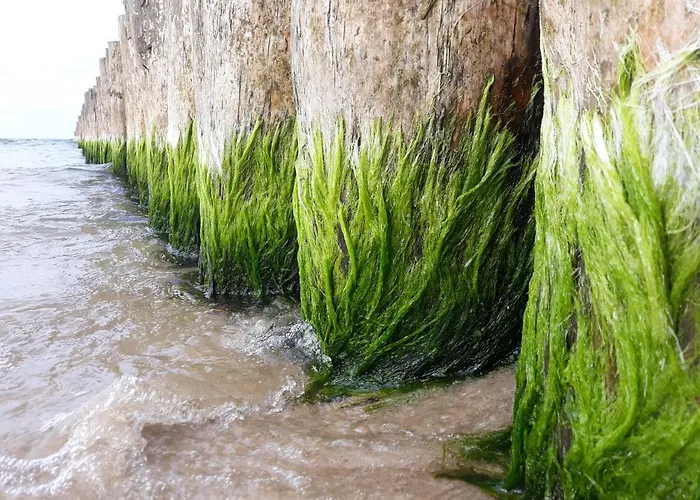 Terra - Mtn Na Wydmach