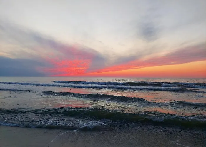 Terra - Mtn Na Wydmach *