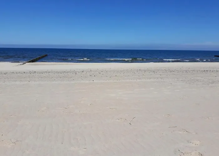 Terra - Mtn Na Wydmach